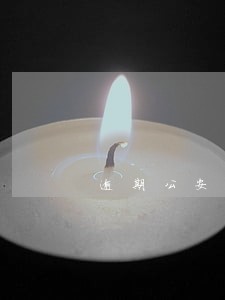 逾期公安立案后怎么办 逾期公安立案后怎么办