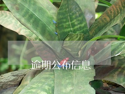 逾期公布信息 逾期公布信息