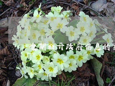 逾期公开政府信息的案例 逾期公开政府信息的案例