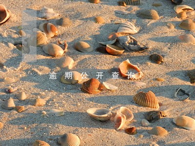 逾期公开查询 逾期公开查询