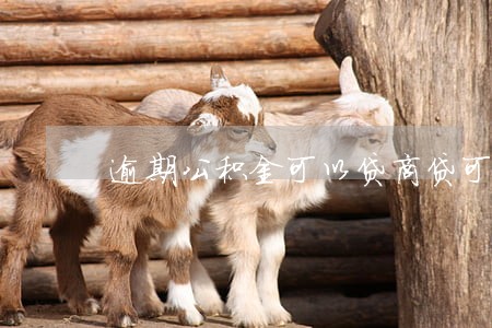 逾期公积金可以贷商贷可以贷吗 逾期公积金可以贷商贷可以贷吗