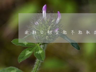 逾期公积金能不能取出来 逾期公积金能不能取出来