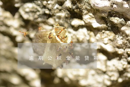逾期公积金能贷吗 逾期公积金能贷吗