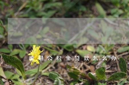 逾期公积金贷款怎么办
