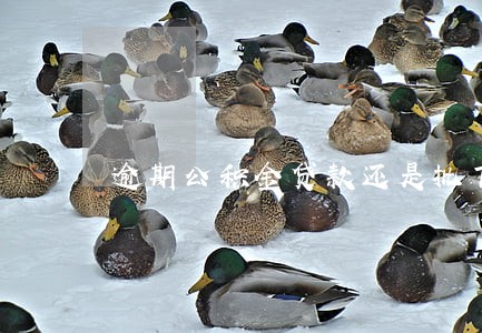 逾期公积金贷款还是批下来了 逾期公积金贷款还是批下来了