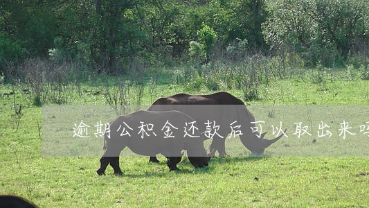 逾期公积金还款后可以取出来吗 逾期公积金还款后可以取出来吗