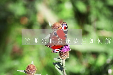 逾期公积金还款后如何解决 逾期公积金还款后如何解决