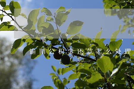 逾期公积金还款怎么处理 逾期公积金还款怎么处理