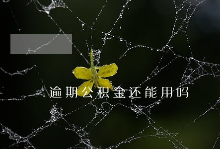 逾期公积金还能用吗 逾期公积金还能用吗