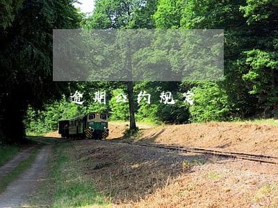逾期公约规定