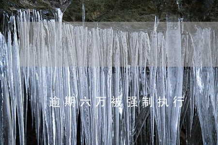 逾期六万被强制执行 逾期六万被强制执行