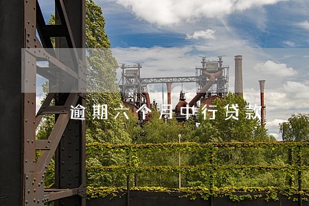 逾期六个月中行贷款 逾期六个月中行贷款