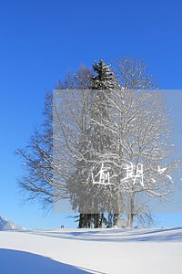 逾期六个月会上征信黑名单吗 逾期六个月会上征信黑名单吗