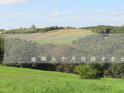 逾期六个月信用卡怎么办