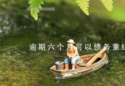 逾期六个月可以债务重组吗 逾期六个月可以债务重组吗