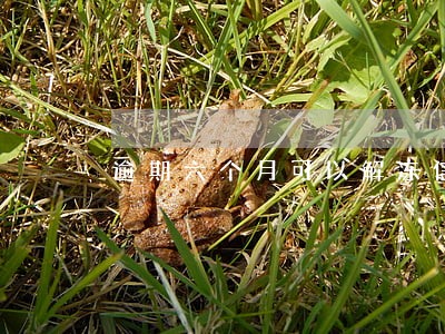 逾期六个月可以解冻信用卡 逾期六个月可以解冻信用卡