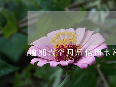 逾期六个月后信用卡还的是本金吗