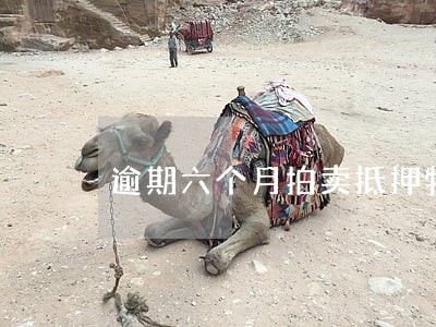 逾期六个月拍卖抵押物 逾期六个月拍卖抵押物