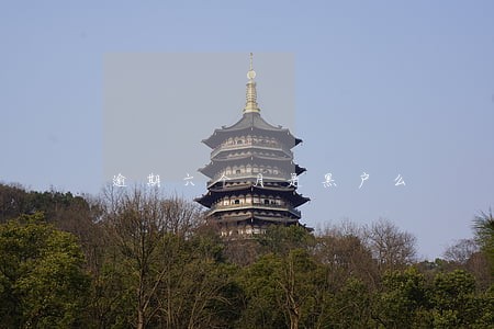 逾期六个月是黑户么 逾期六个月是黑户么