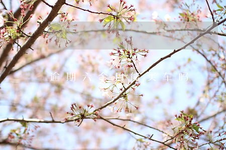 逾期六个月能买车吗 逾期六个月能买车吗
