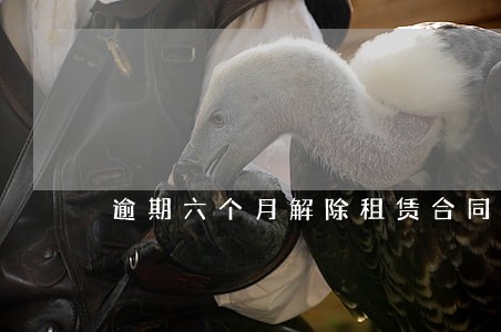 逾期六个月解除租赁合同 逾期六个月解除租赁合同