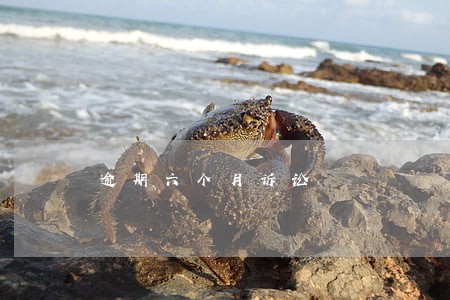逾期六个月诉讼 逾期六个月诉讼