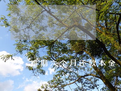逾期六个月还款本金 逾期六个月还款本金