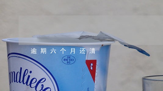 逾期六个月还清 逾期六个月还清