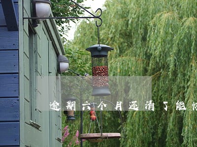 逾期六个月还清了能恢复吗 逾期六个月还清了能恢复吗
