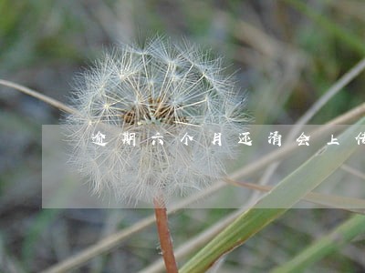 逾期六个月还清会上传征信吗 逾期六个月还清会上传征信吗