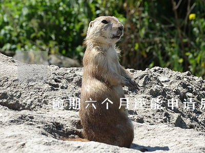 逾期六个月还能申请房抵贷