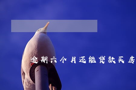 逾期六个月还能贷款买房吗