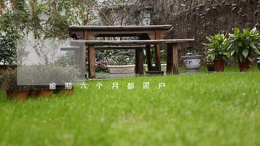 逾期六个月都黑户