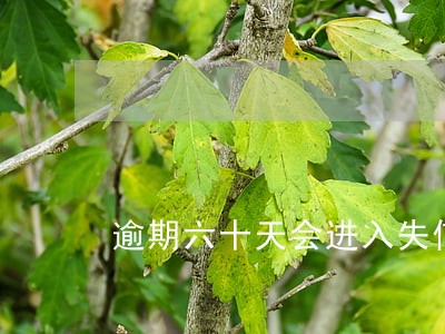 逾期六十天会进入失信名单吗 逾期六十天会进入失信名单吗