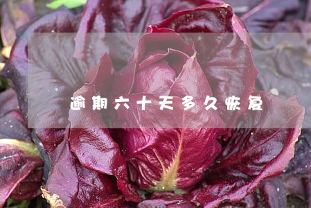 逾期六十天多久恢复 逾期六十天多久恢复