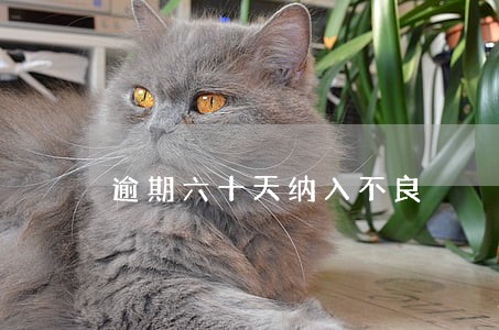 逾期六十天纳入不良 逾期六十天纳入不良