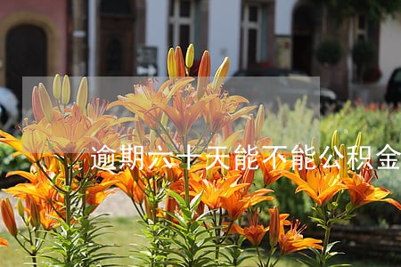 逾期六十天能不能公积金贷款 逾期六十天能不能公积金贷款