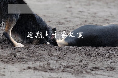 逾期六千要报案