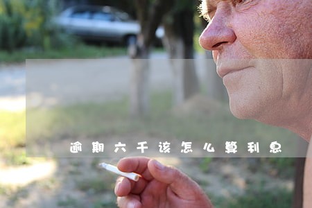 逾期六千该怎么算利息 逾期六千该怎么算利息