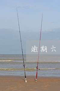 逾期六天会上征信吗 逾期六天会上征信吗