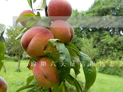 逾期六天征信报告怎么显示