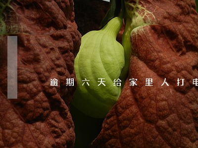 逾期六天给家里人打电话