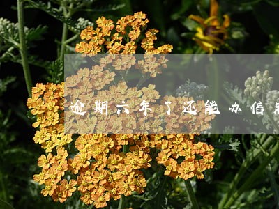 逾期六年了还能办信用卡吗 逾期六年了还能办信用卡吗