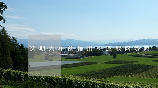 逾期六年的信用卡还能网贷吗 逾期六年的信用卡还能网贷吗