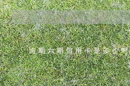 逾期六期信用卡是多少时间 逾期六期信用卡是多少时间