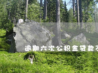 逾期六次公积金贷款不批 逾期六次公积金贷款不批