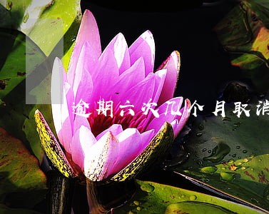 逾期六次几个月取消记录 逾期六次几个月取消记录