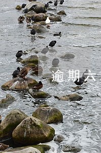逾期六次如何消除 逾期六次如何消除