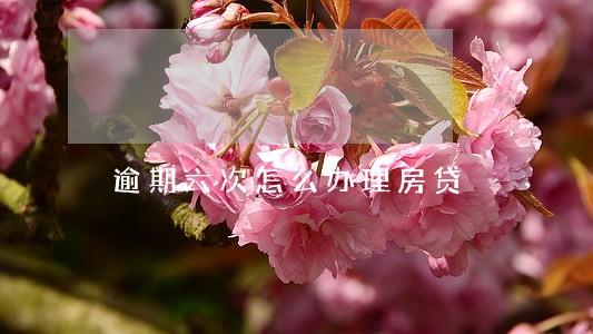 逾期六次怎么办理房贷 逾期六次怎么办理房贷