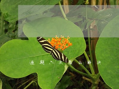 逾期六次怎么解决 逾期六次怎么解决